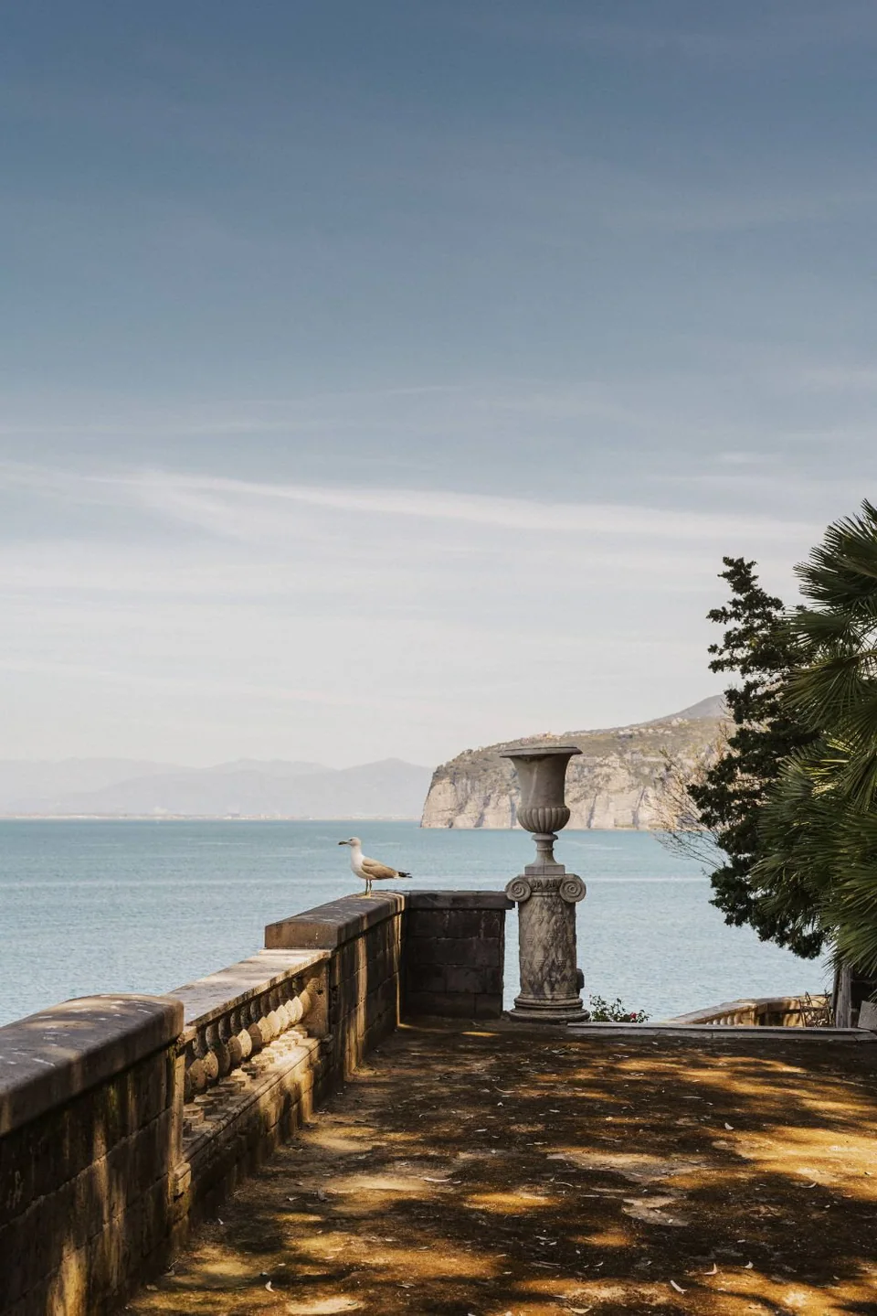 Venue 11ef97da74 w960