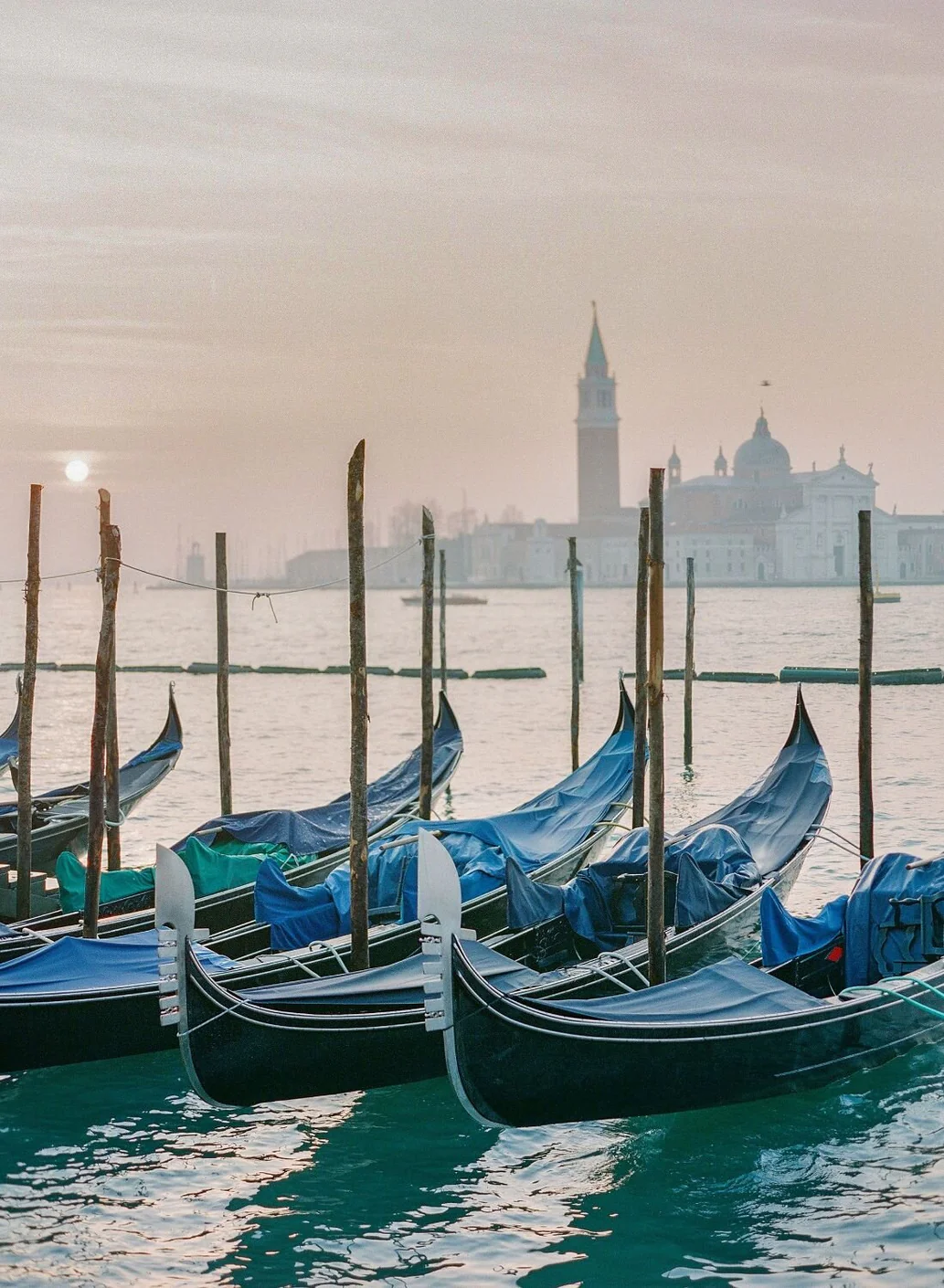 Italy venice molly carr